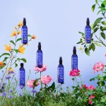 1 - Melvita Eau Florale De Lavande Bio Lozione per viso 200 ml Donna