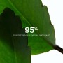 1 - Clarins Fresh Scrub Crema Esfoliante 50ml