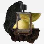 5 - Hermes Terre d'Hermès Eau De Parfum Intense 50 ml