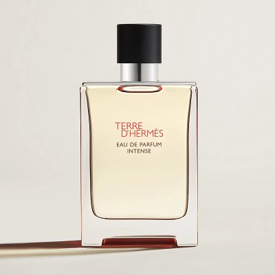 1 - Hermes Terre d'Hermès Eau De Parfum Intense 100 ml