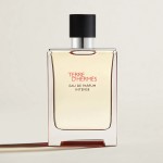 1 - Hermes Terre d'Hermès Eau De Parfum Intense 100 ml