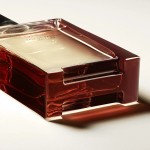 3 - Hermes Terre d'Hermès Eau De Parfum Intense 100 ml