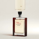 4 - Hermes Terre d'Hermès Eau De Parfum Intense 100 ml