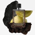 4 - Hermes Terre d'Hermès Eau de parfum intense refill 200 ml