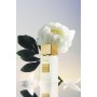 1 - Gritti Venetia Monica Donna 100 ml