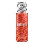 1 - Roberto Cavalli JC Hair & Body Mists Daring Amber 250ml