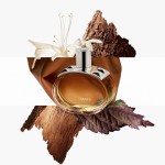 5 - Hermes Barénia Eau De Parfum Intense 60 ml