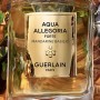 1 - Aqua Allegoria Forte Mandarine Basilic