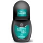 1 - BREEZE Dry Protection Men Roll deodorant 50 ml 1 pc(s)