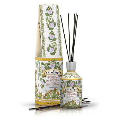 1 - Rudy Profumi Pantelleria Aroma Diffuser 500ml