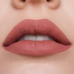 3 - Estée Lauder Pure Color Lipstick 816 Suit Up 3.5g