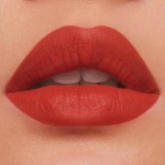 3 - Estée Lauder Pure Color Lipstick 666 Captivated 3.5g