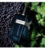 3 - Yves Saint Laurent Y Eau De Parfum Intense 60ml