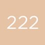 4 - Diego dalla Palma Geisha Lift Foundation, Natural beige 222