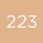 4 - Diego dalla Palma Geisha Lift Foundation, Sand 223