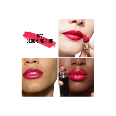 2 - Dior Addict Blooming Pink 877 3.2 g