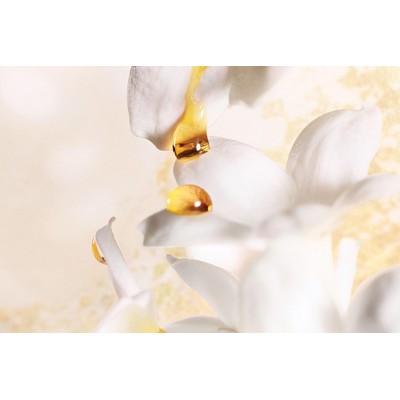 2 - Dior J'Adore Absolu Donna 75 ml