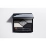 1 - Dior 5 Couleurs Designer 008 Smoky 5.7g
