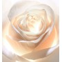 1 - Dior Prestige Light-In-White L'oléo-essence lumière 150ml