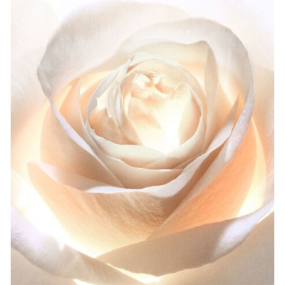 1 - Dior Prestige Light-In-White L'oléo-essence lumière 150ml