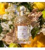 2 - Guerlain Bergamote Calabria Eau De Toilette 75ml