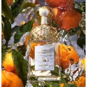 2 - Guerlain Mandarine Basilic Eau De Toilette 75ml