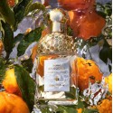 2 - Guerlain Mandarine Basilic Eau De Toilette 125ml