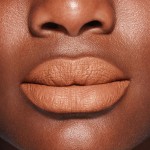 6 - Shiseido ModernMatte Powder Nude Streak 503