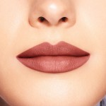 4 - Shiseido ModernMatte Powder Disrobed 506