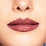 5 - Shiseido ModernMatte Powder Semi Nude 508