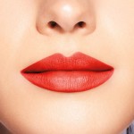 5 - Shiseido ModernMatte Powder Flame 509