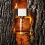 3 - Yves Saint Laurent L'Homme Eau De Parfum 60ml