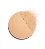 2 - CHANEL Les Beiges Poudre Belle Mine Naturelle №30 12g