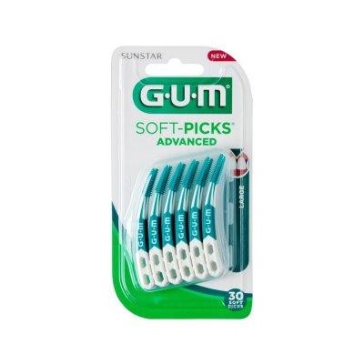1 - GUM 3809