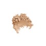 2 - Diego dalla Palma Transparent Powder