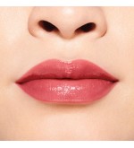 5 - Shiseido ColorGel LipBalm Redwood 106 2g