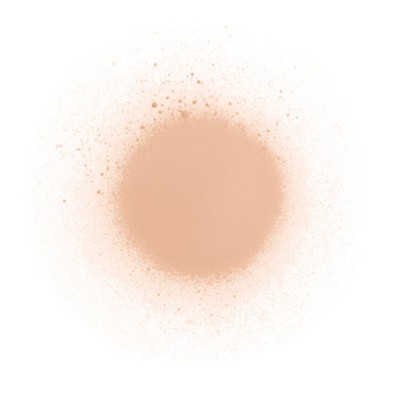 2 - Diego dalla Palma Spray On Tights, Light 200