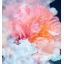 2 - Dior Joy Intens Eau De Parfum 30ml