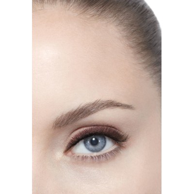 1 - CHANEL Le Crayon Yeux 67 Prune Noire 1g