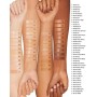 3 - Clinique Even Better Clinical Foundation SPF 20 Cream Chamois CN 40, 30ml