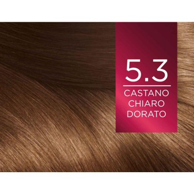 2 - L’Oréal Paris Excellence Crème Natural Golden Brown 5.3