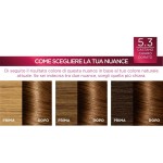 5 - L’Oréal Paris Excellence Crème Natural Golden Brown 5.3