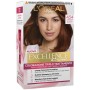 1 - L’Oréal Paris Excellence Crème Castano Mogano Ramato 4.54