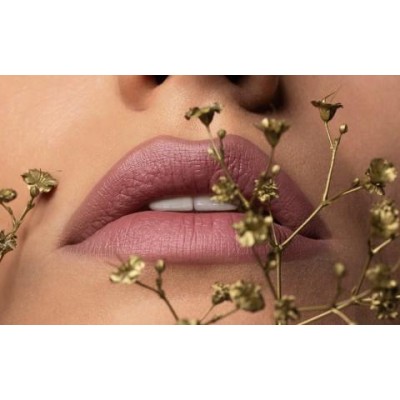 2 - PUPA Milano Winter Blooming Petalips 017 Tea Rose 3.5g