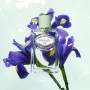 4 - Prada Infusion d'Iris Eau De Parfum 30 ml