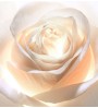 2 - Dior Prestige Light-In-White Crème 50ml