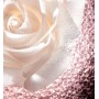 3 - Dior Prestige Le Micro-Caviar de Rose 75ml