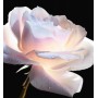 5 - Dior Prestige La Micro-Huile de Rose Advanced Serum 15ml