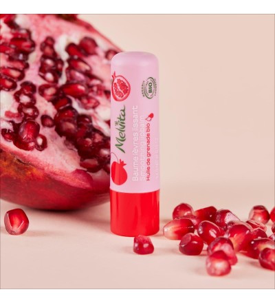 2 - Melvita Smoothing Lipbalm 4.5g