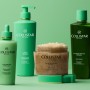 5 - Collistar 7007841 body cream & lotion 400 ml Gel Women